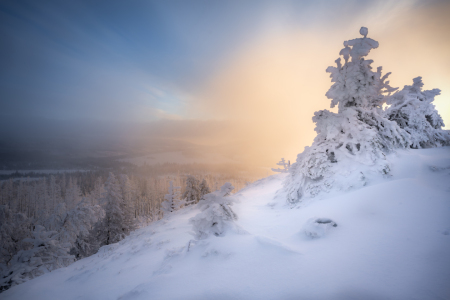 Bild-Nr: 12788014 Der erste Schnee im Harz  Erstellt von: Steffen Henze