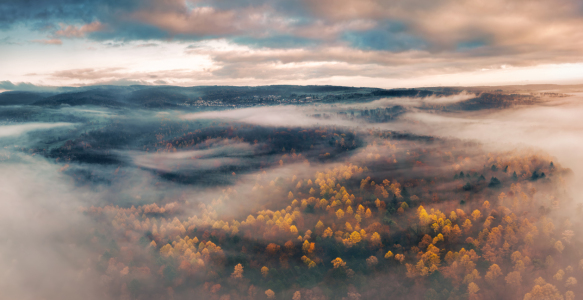 Bild-Nr: 12791314 Atmosphärischer Nebel über der Herbstlandschaft Erstellt von: Smileus