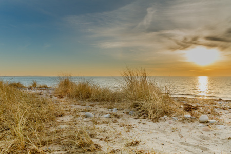 Bild-Nr: 12807441 Stranddünen auf Fehmarn Erstellt von: Ursula Reins